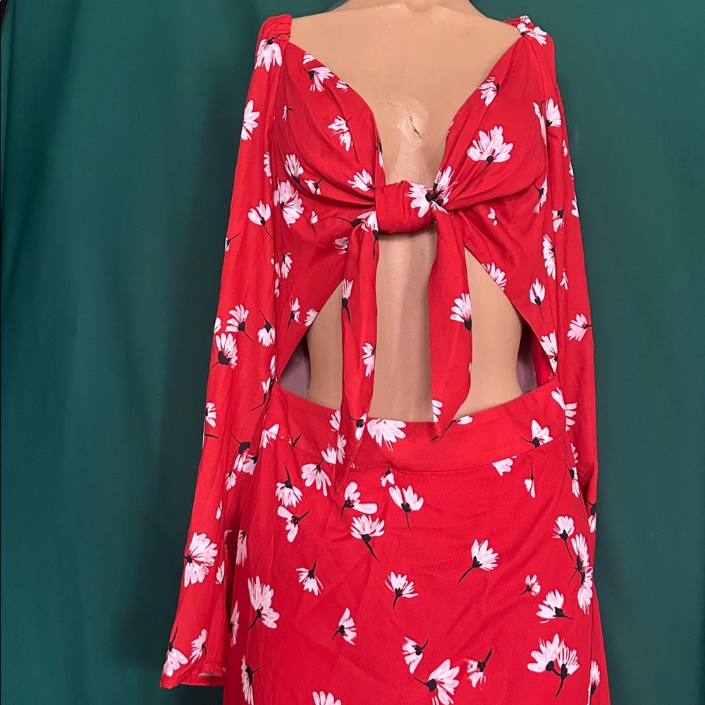 Red Floral Tie-Back Dress